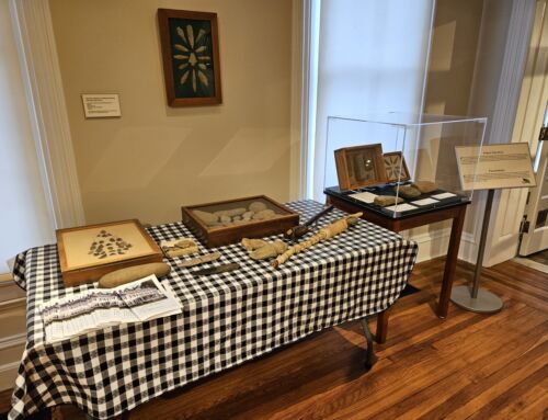 Local Lenape Artifacts on Display